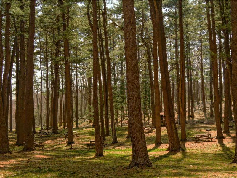 sudoku advanced techniques screenshot 1